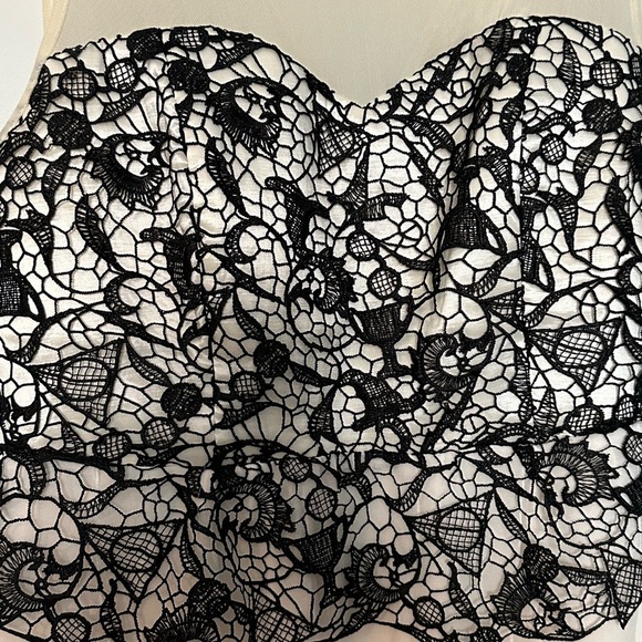 Harry Potter Black Lace & Ivory Ruffle Formal Prom Dress Size L Rare - Picture 3 of 6